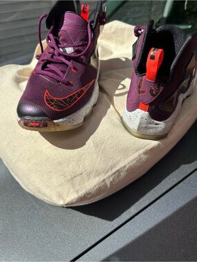 LeBron James XIII “Mulberry”